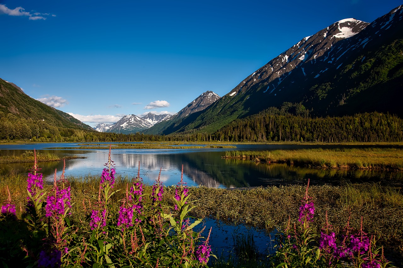 things to know about alaska