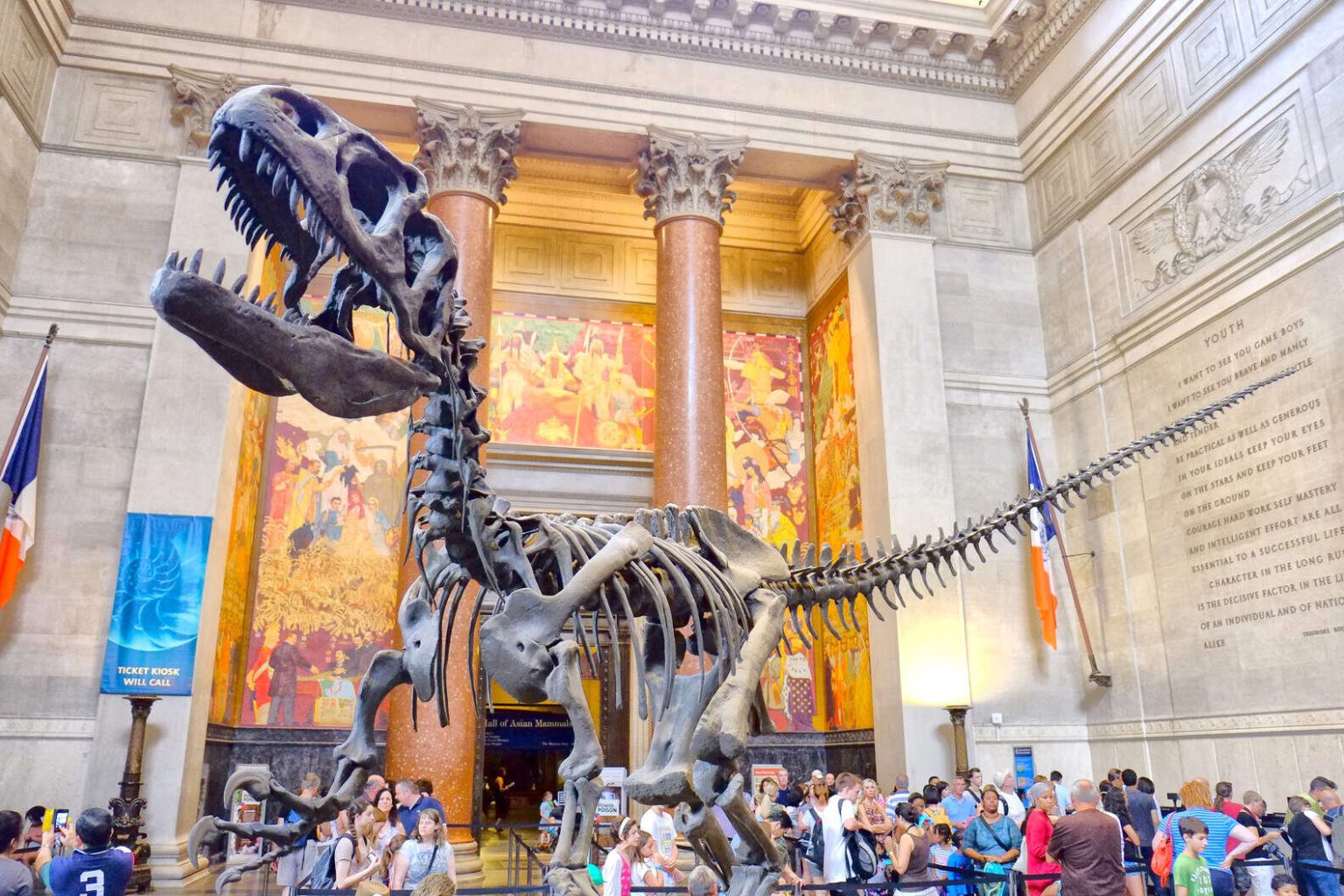 fun museums to visit in nyc